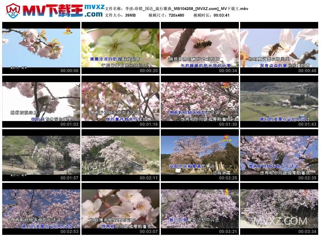 李虎-珍惜_国语_流行歌曲_MB104258